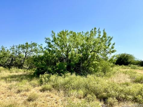 O County Road 116 George West TX 78022