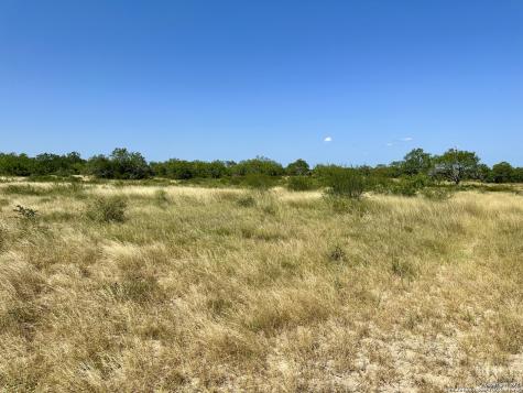 O County Road 116 George West TX 78022