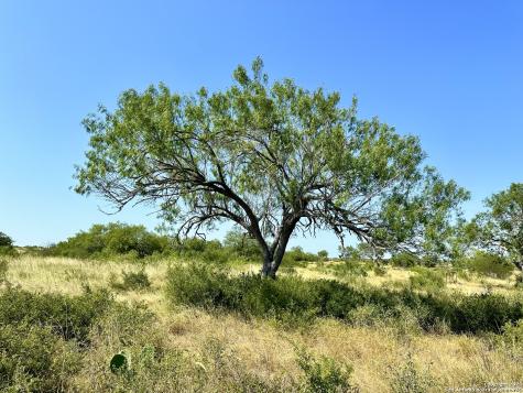 O County Road 116 George West TX 78022