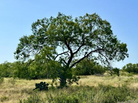 O County Road 116 George West TX 78022