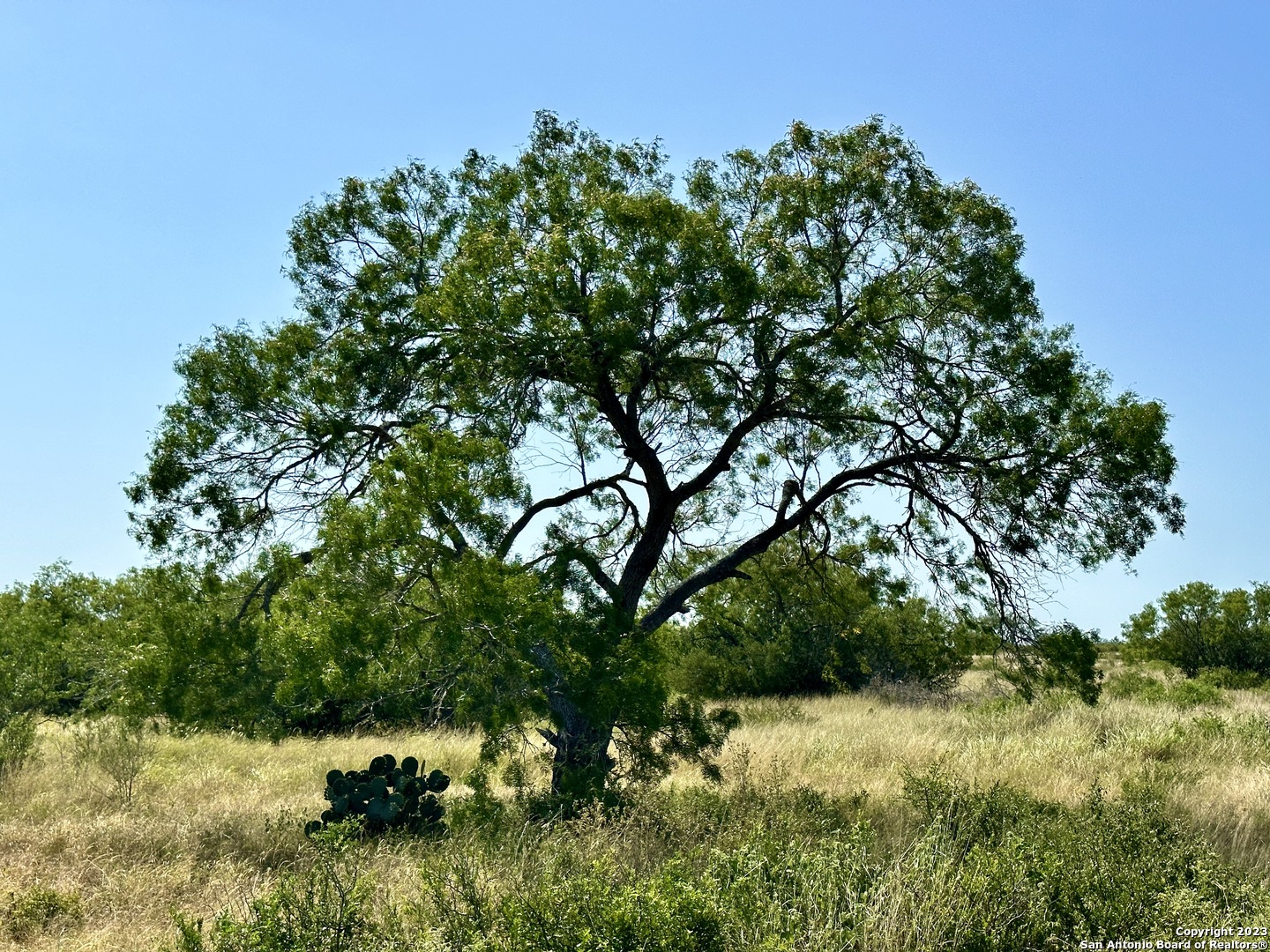 O County Road 116 George West TX 78022