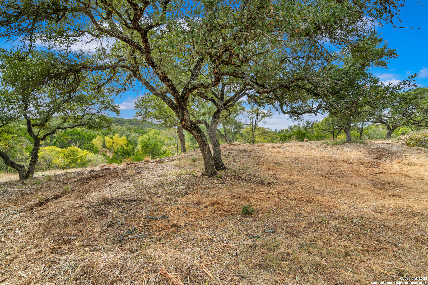 25722 Eden Point Boerne TX 78006