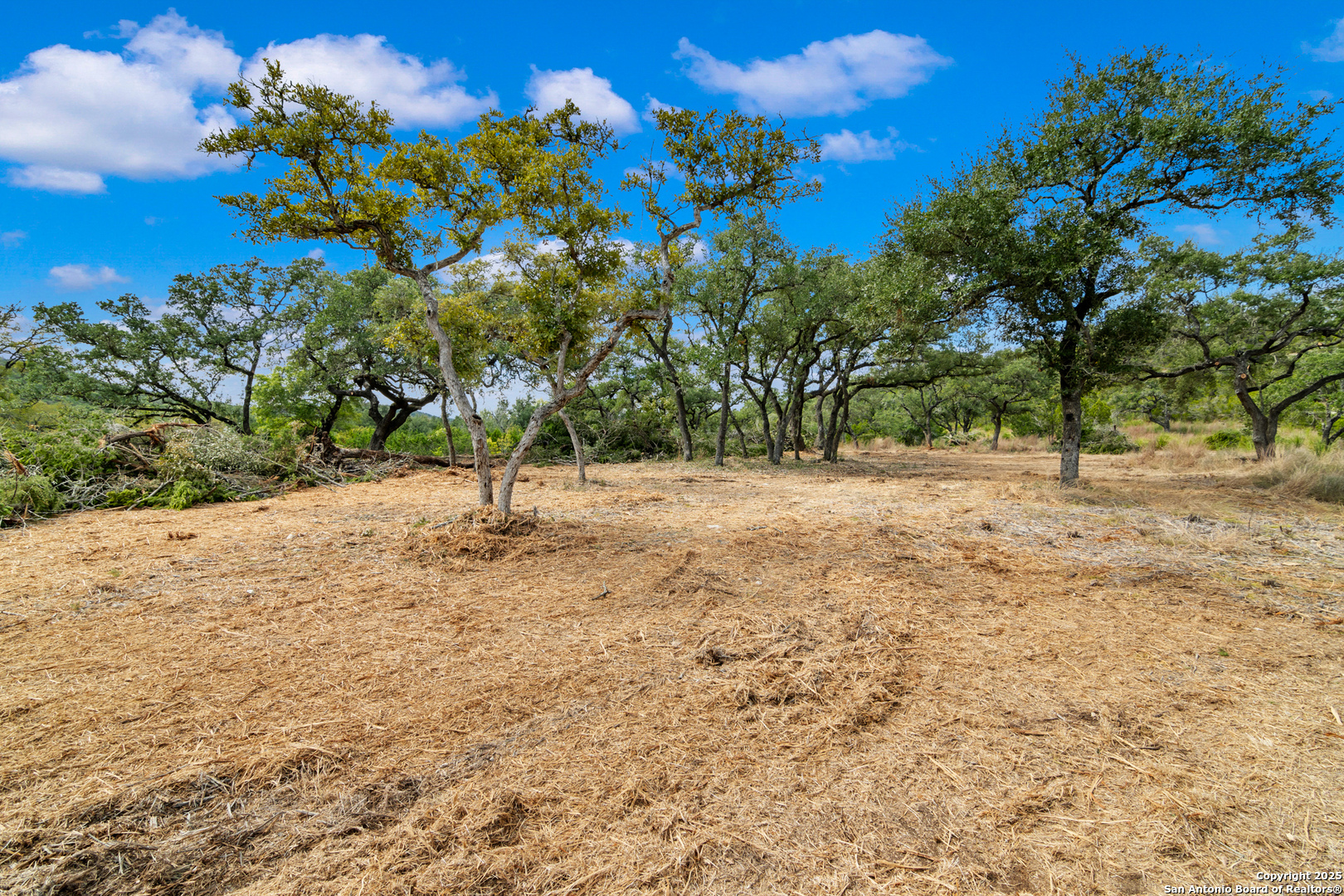 25722 Eden Point Boerne TX 78006