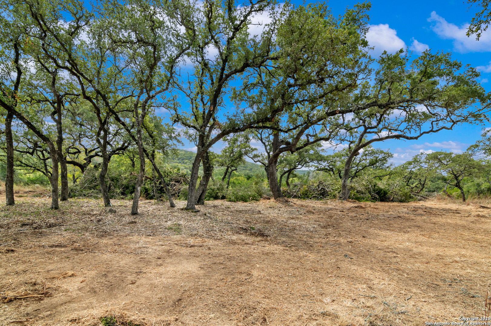25722 Eden Point Boerne TX 78006