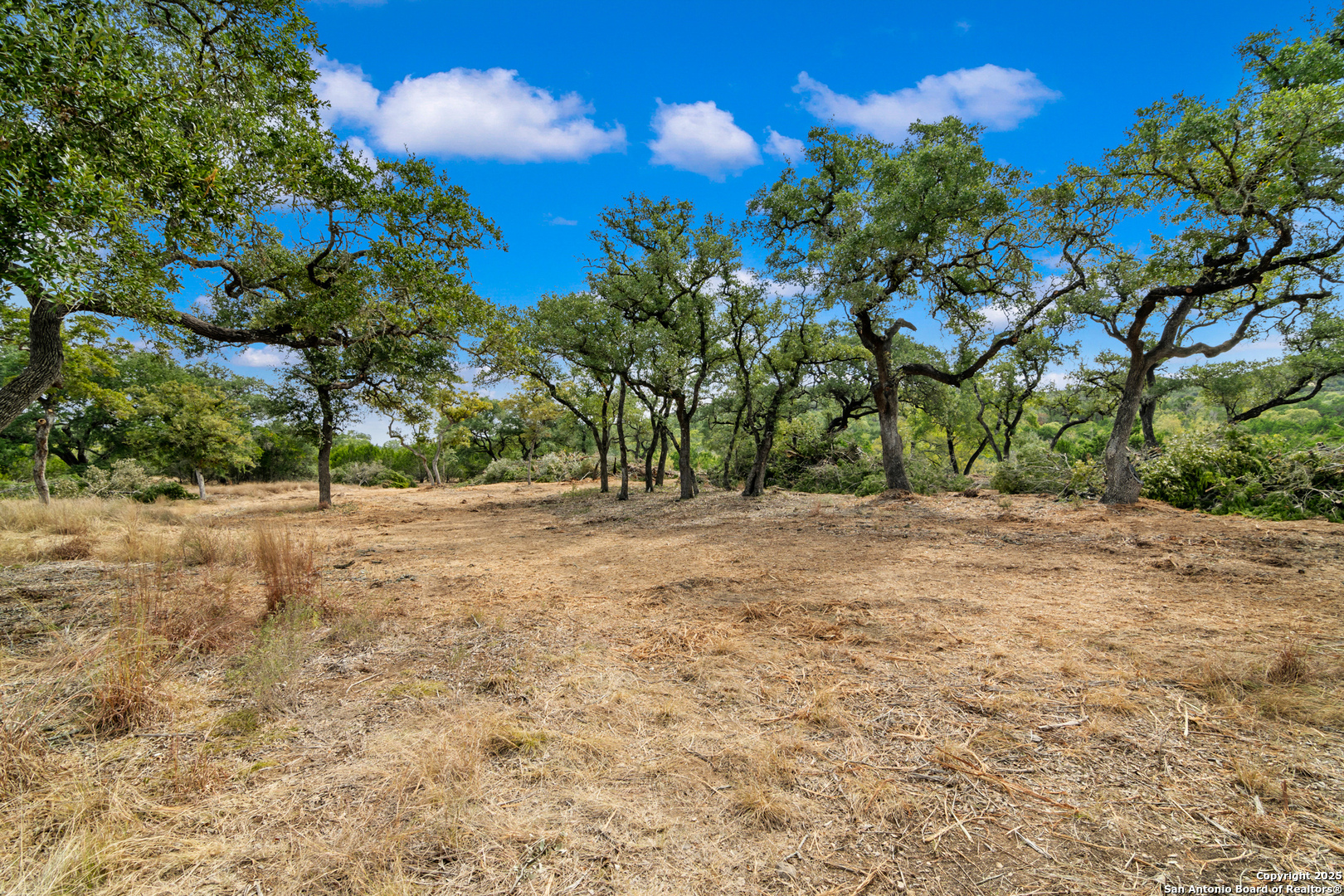 25722 Eden Point Boerne TX 78006