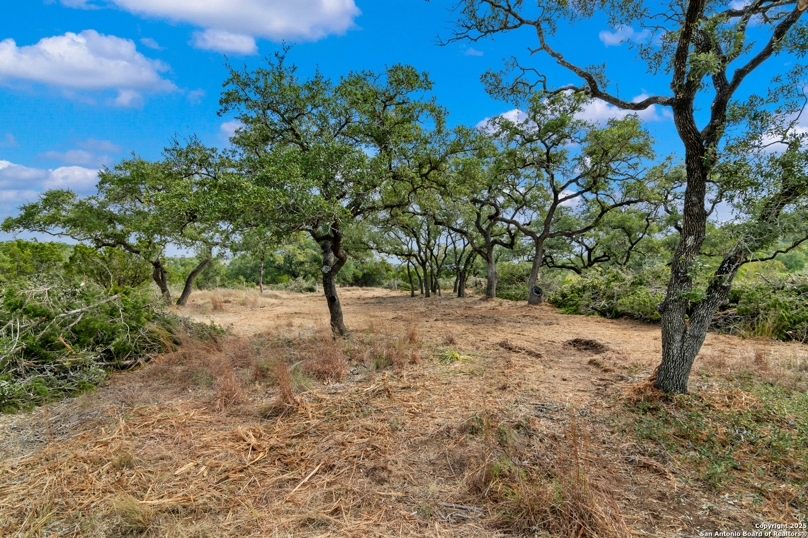 25722 Eden Point Boerne TX 78006