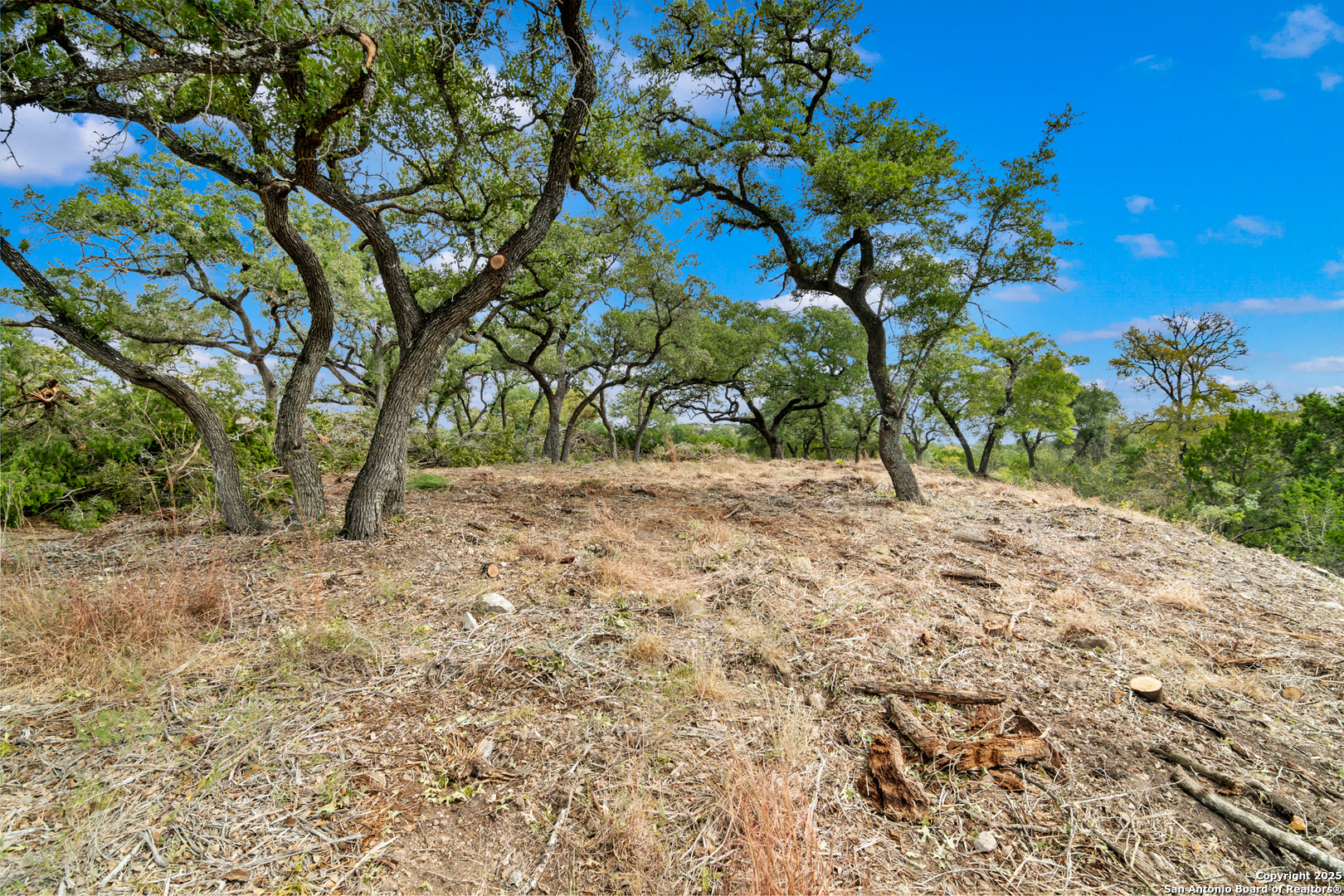 25722 Eden Point Boerne TX 78006