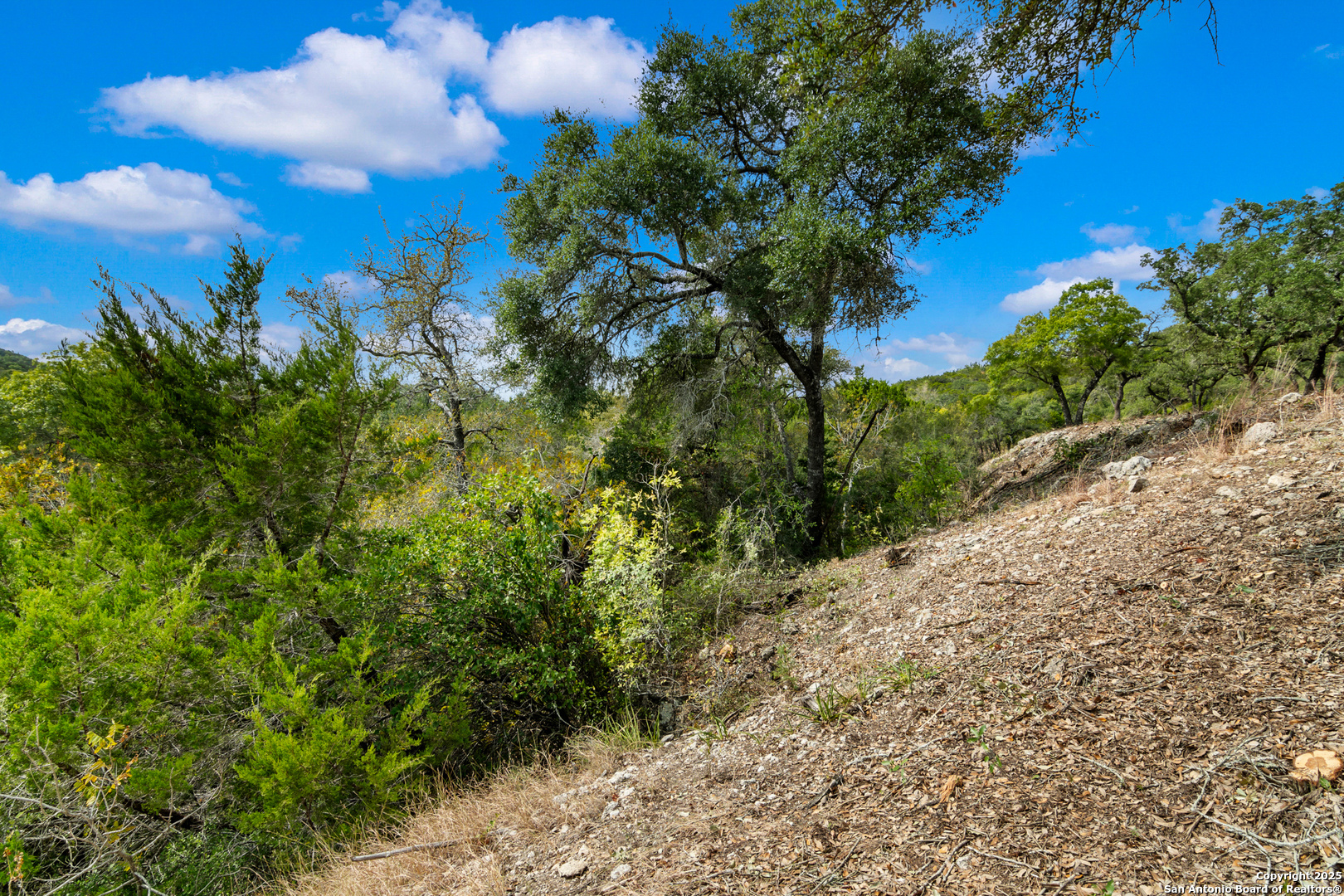 25722 Eden Point Boerne TX 78006