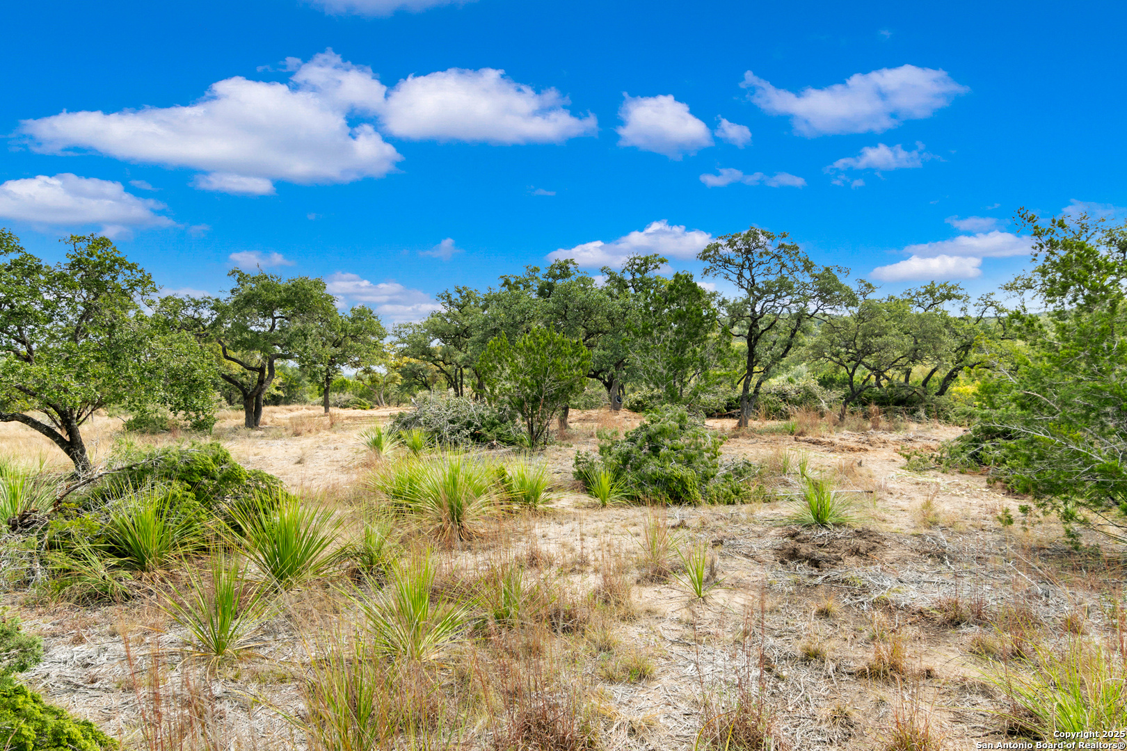 25722 Eden Point Boerne TX 78006