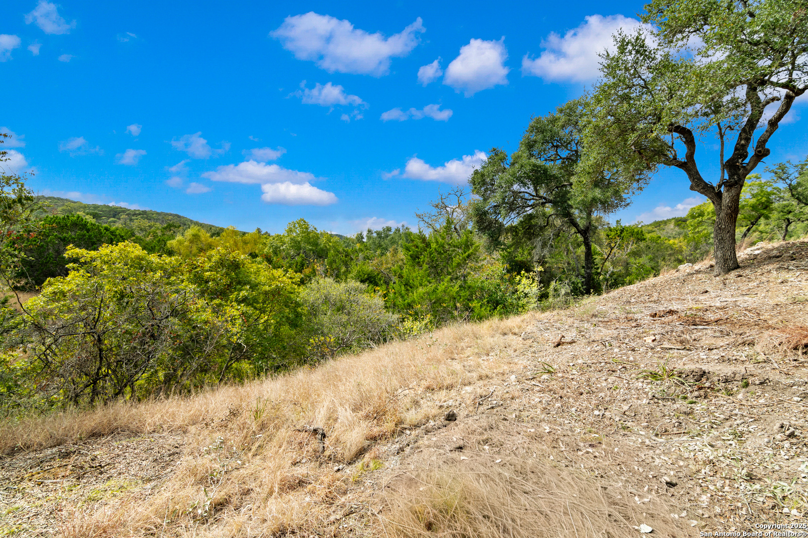 25722 Eden Point Boerne TX 78006
