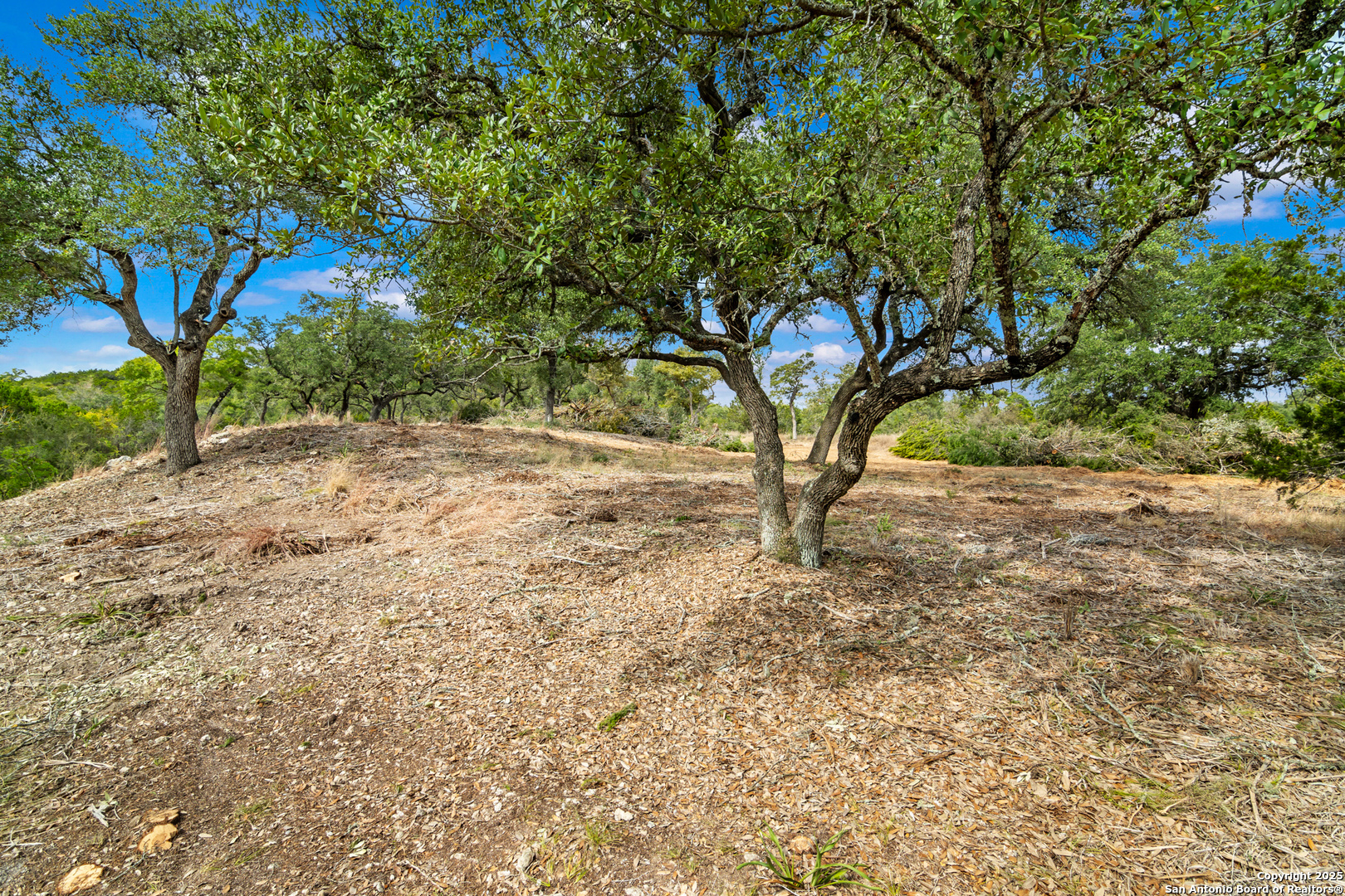 25722 Eden Point Boerne TX 78006