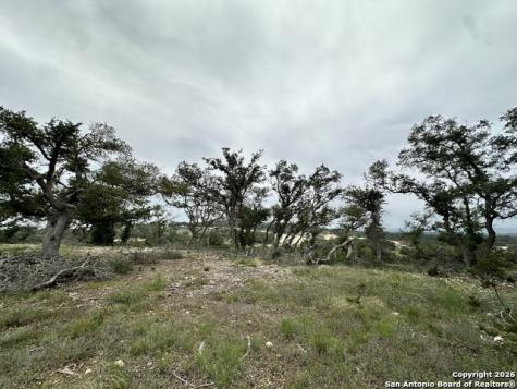 675 Butler Oaks Bulverde TX 78163