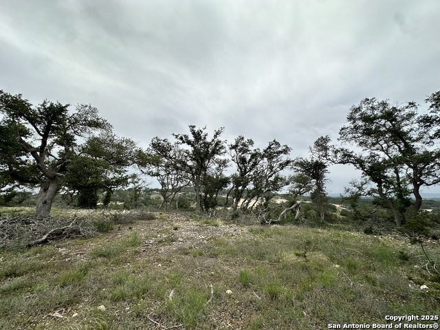 675 Butler Oaks Bulverde TX 78163