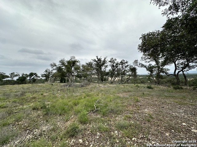675 Butler Oaks Bulverde TX 78163