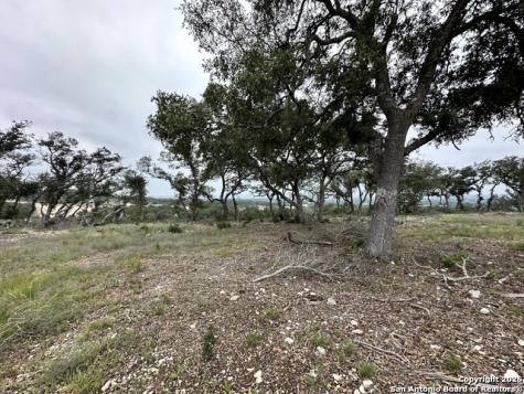 675 Butler Oaks Bulverde TX 78163