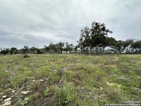 675 Butler Oaks Bulverde TX 78163