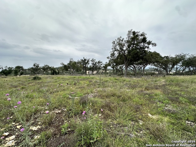 675 Butler Oaks Bulverde TX 78163
