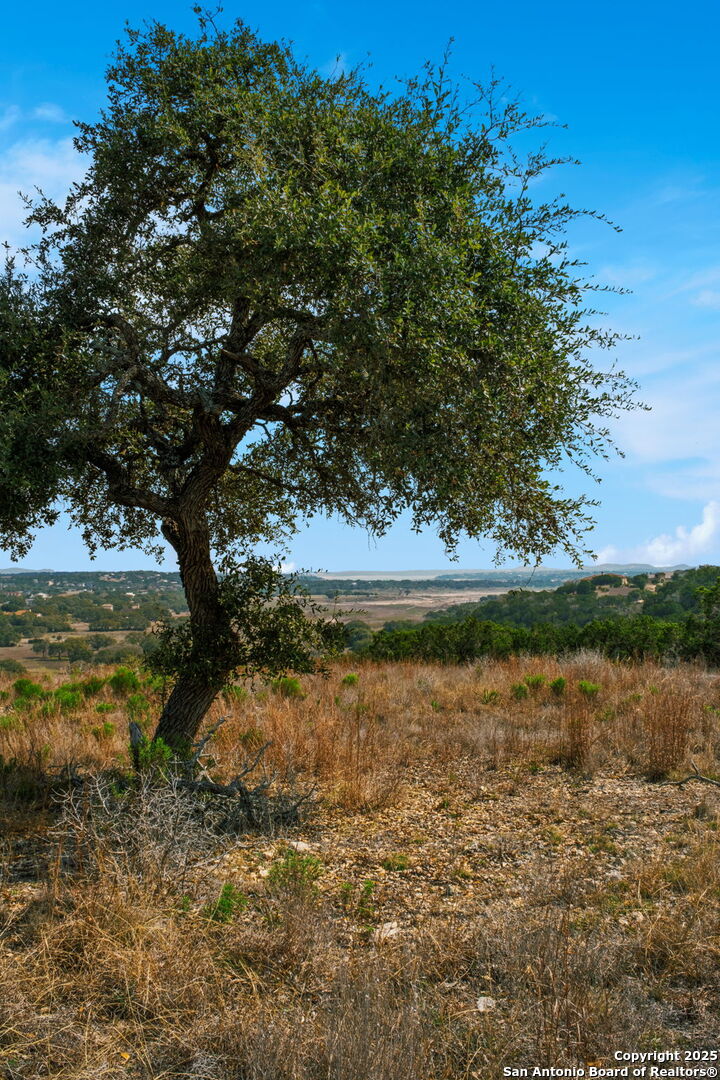507 Gray Fox Spring Branch TX 78070