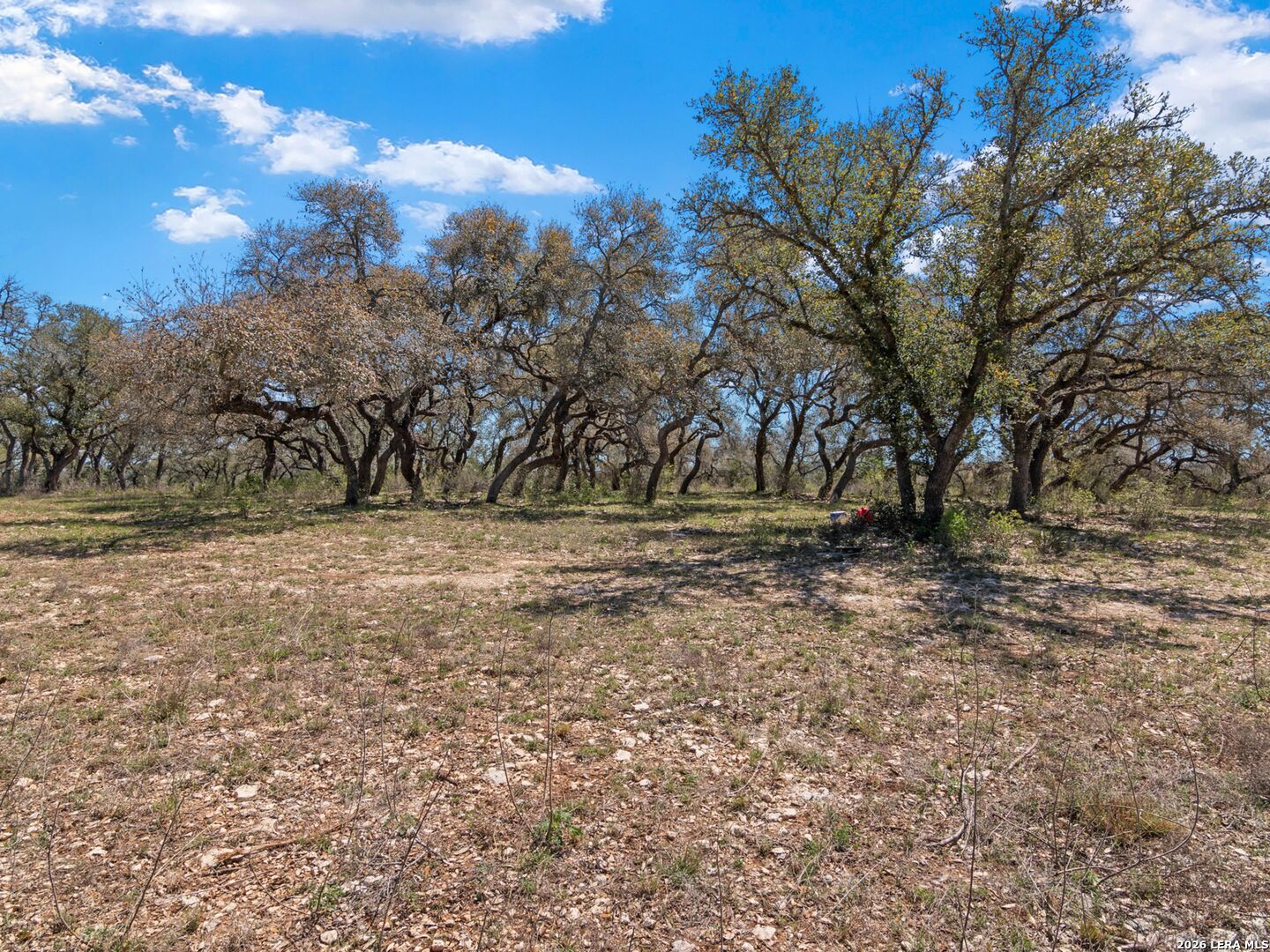 189 Table Rock Helotes TX 78023