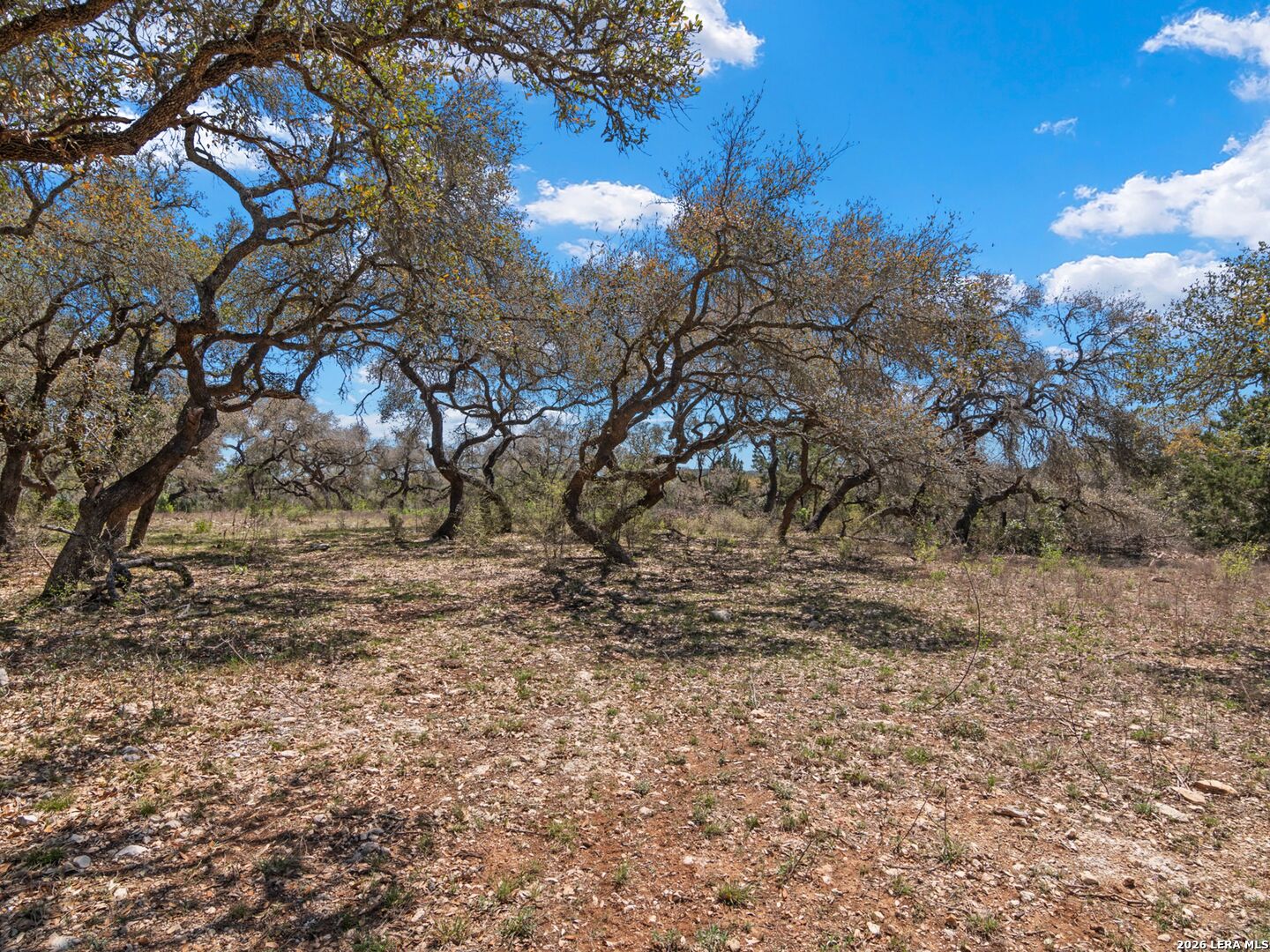 189 Table Rock Helotes TX 78023