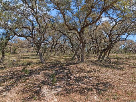 189 Table Rock Helotes TX 78023