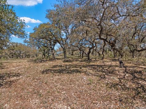 189 Table Rock Helotes TX 78023