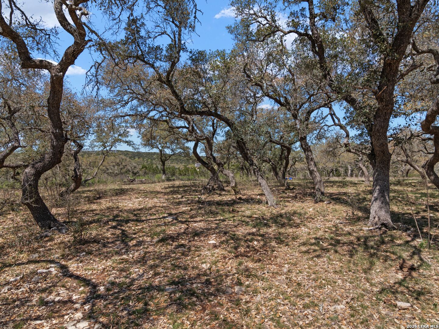 189 Table Rock Helotes TX 78023