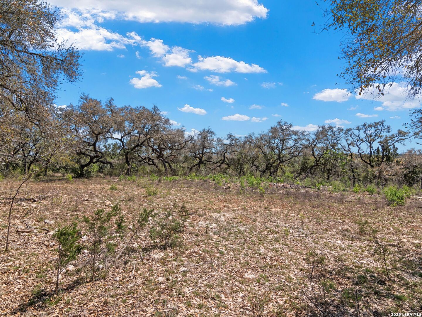 189 Table Rock Helotes TX 78023