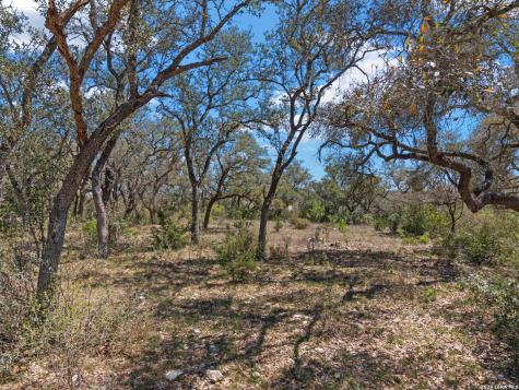 189 Table Rock Helotes TX 78023