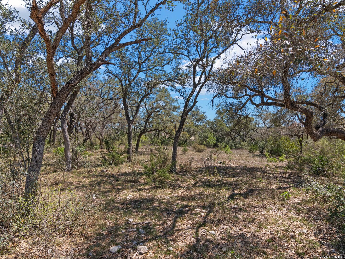 189 Table Rock Helotes TX 78023