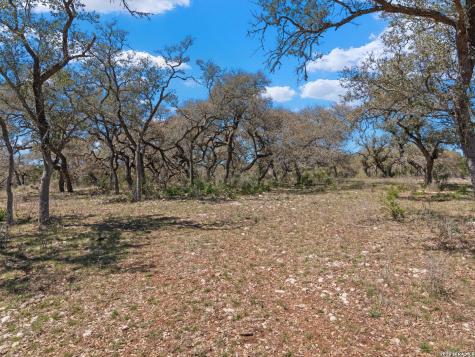 189 Table Rock Helotes TX 78023
