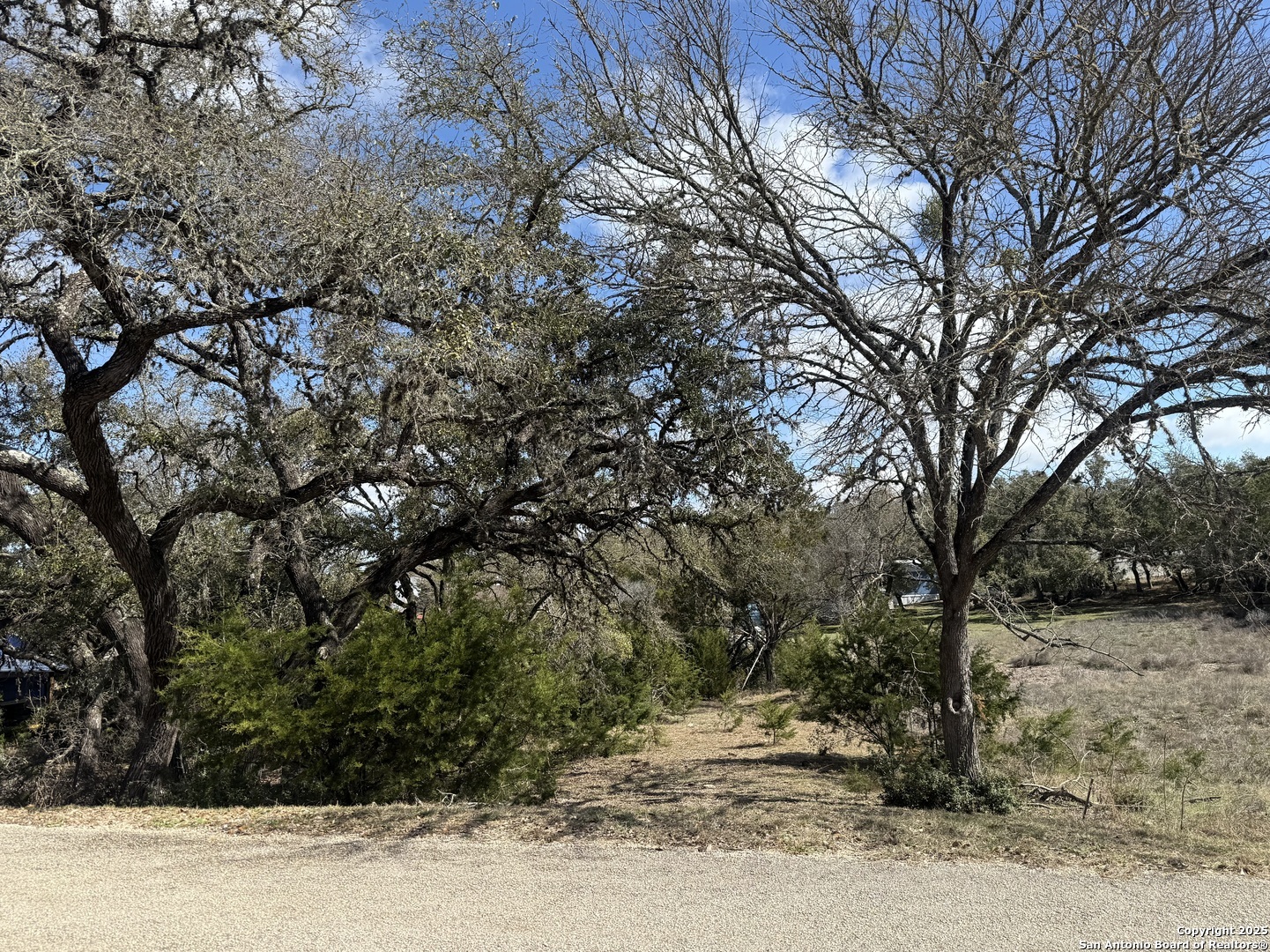 985 Deer Run Pass Canyon Lake TX 78133
