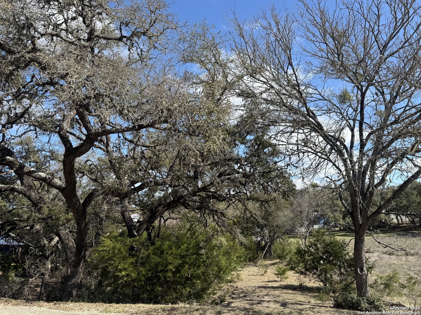 985 Deer Run Pass Canyon Lake TX 78133