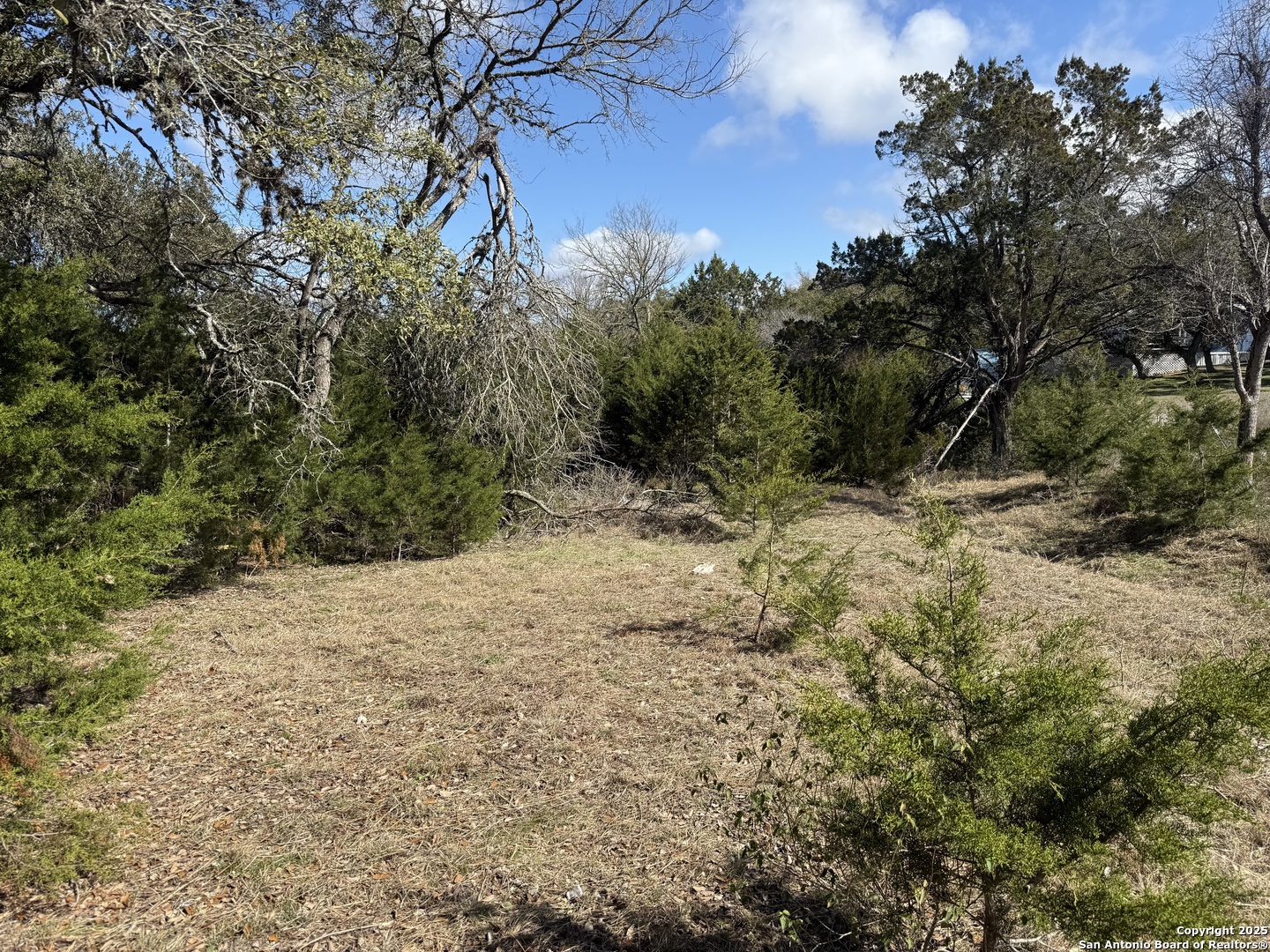 985 Deer Run Pass Canyon Lake TX 78133