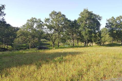 173 Woodlands Drive La Vernia TX 78121