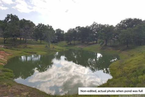 173 Woodlands Drive La Vernia TX 78121