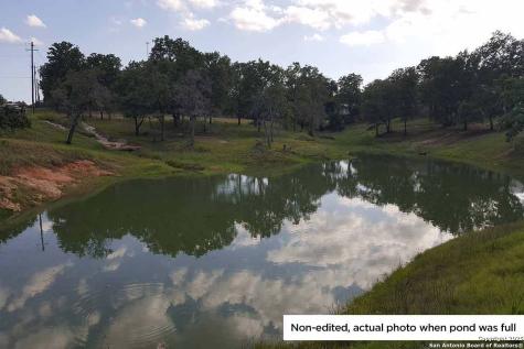 173 Woodlands Drive La Vernia TX 78121