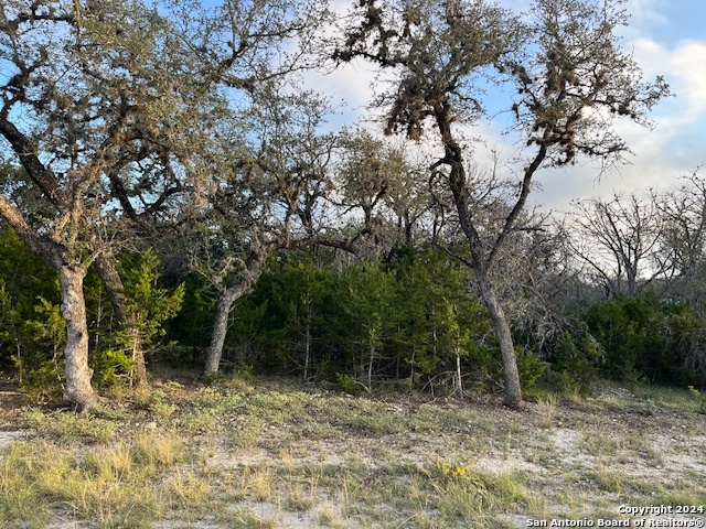 000 Leinweber Drive Leakey TX 78873