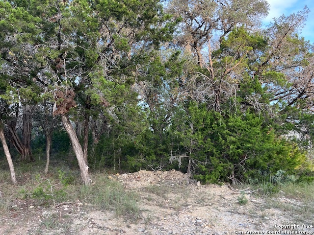 000 Leinweber Drive Leakey TX 78873
