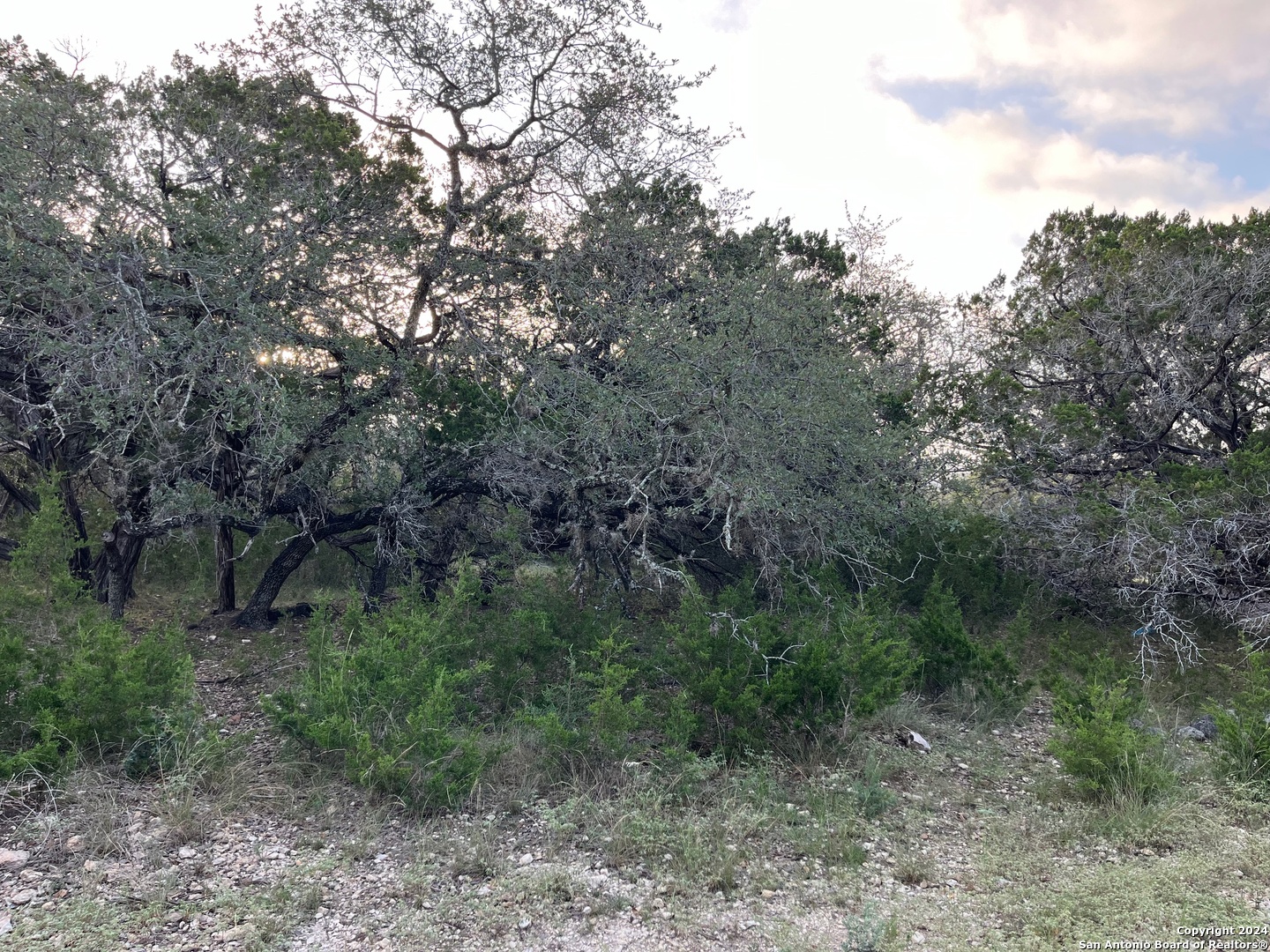 000 Leinweber Drive Leakey TX 78873