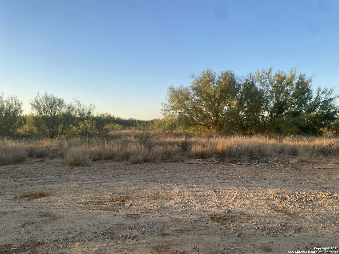 117 W Fm Dilley TX 78017