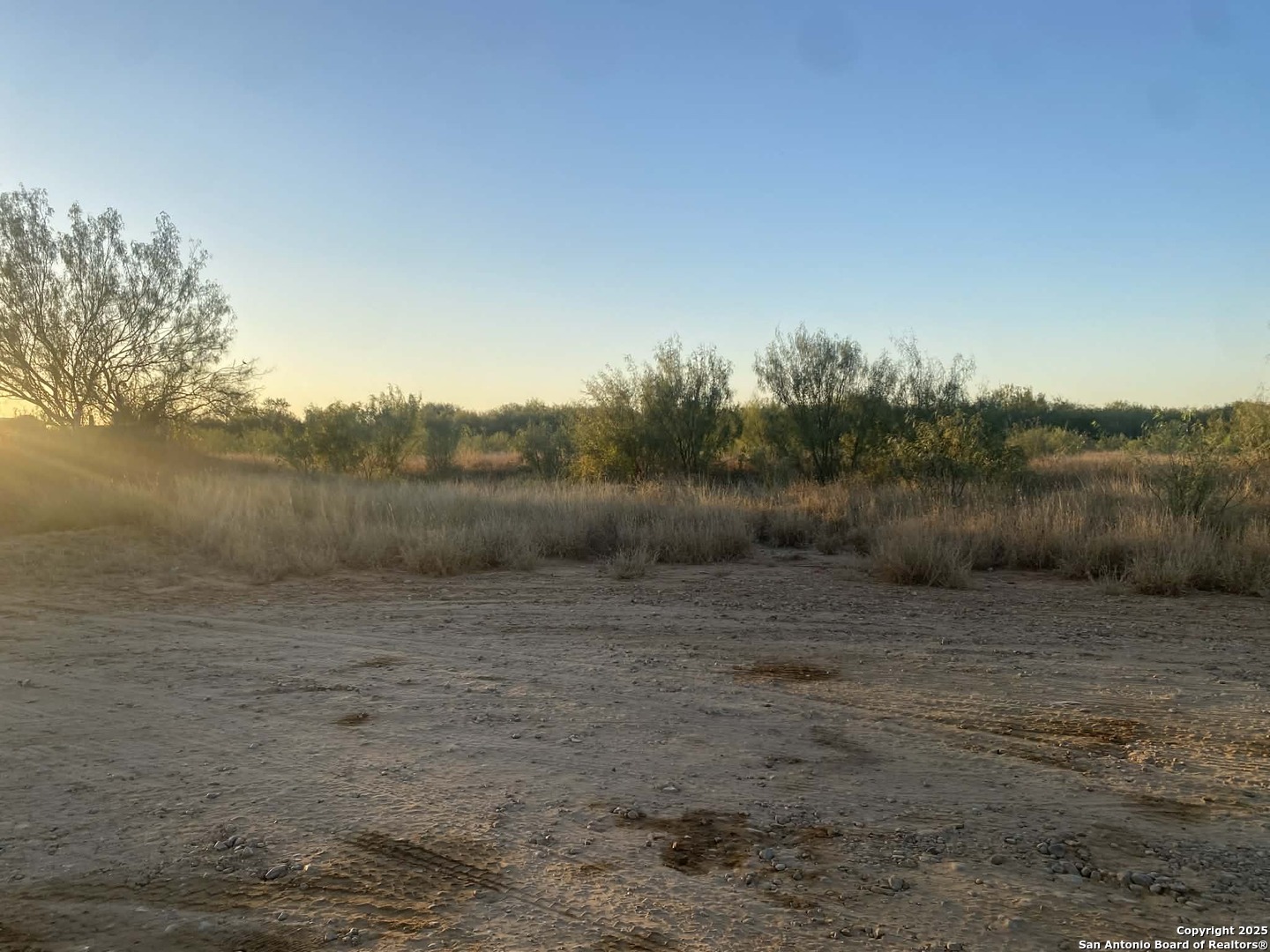 117 W Fm Dilley TX 78017