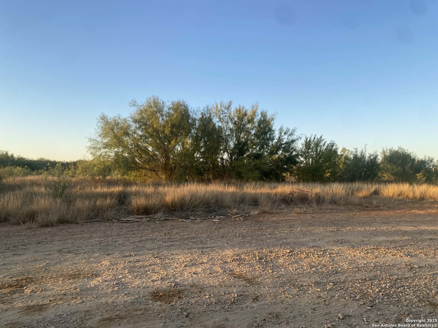 117 W Fm Dilley TX 78017