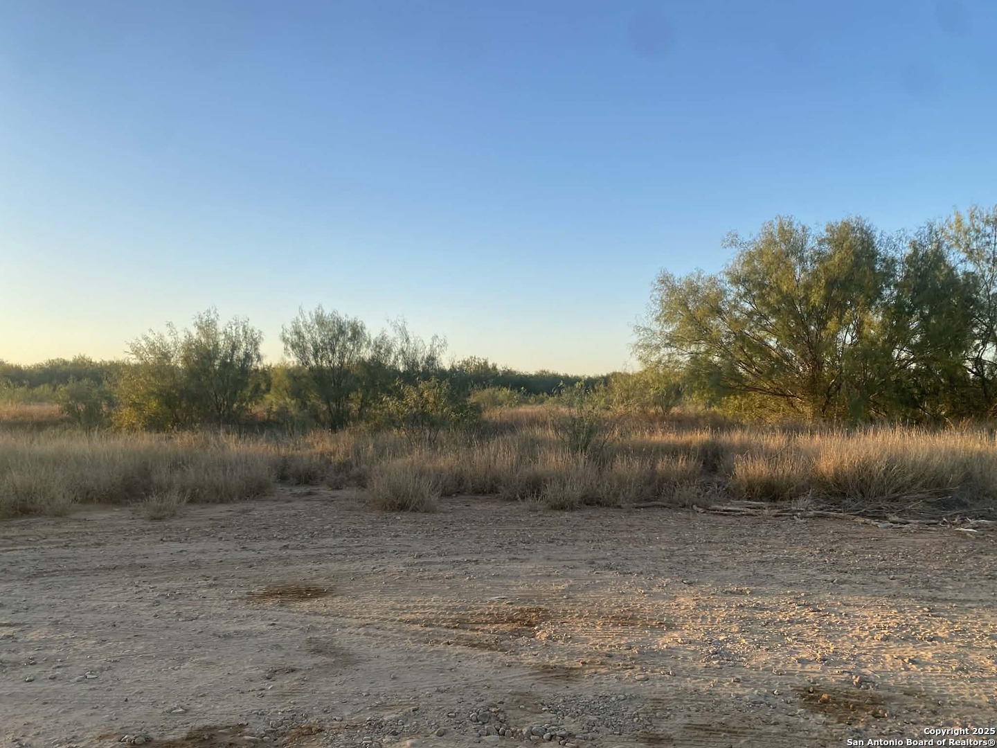 117 W Fm Dilley TX 78017