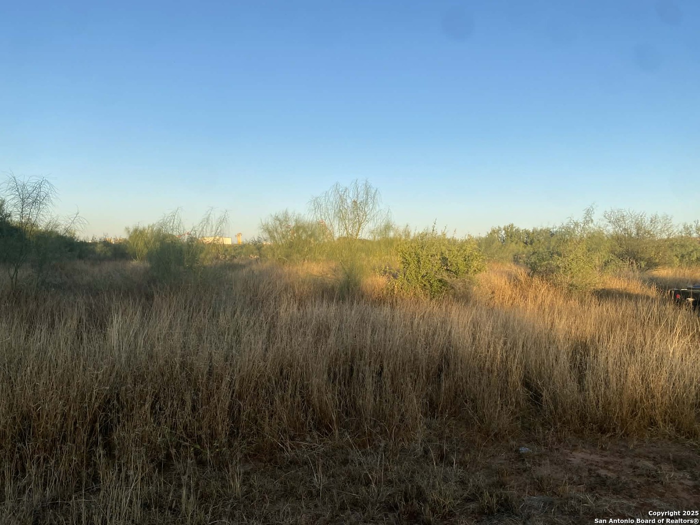 117 W Fm Dilley TX 78017