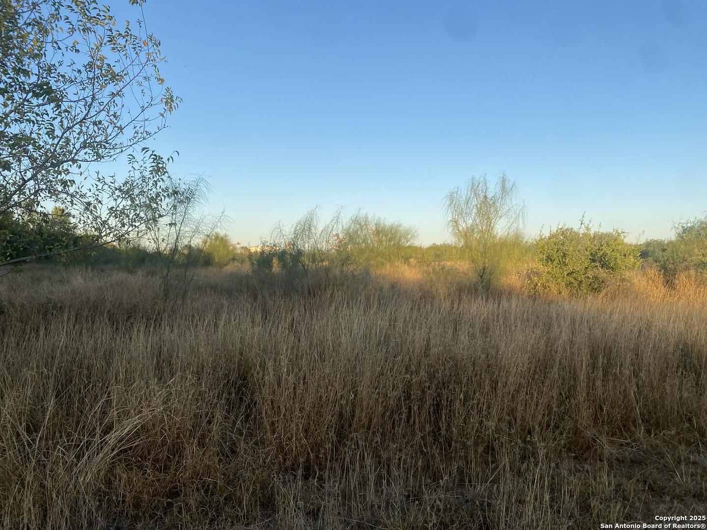 117 W Fm Dilley TX 78017