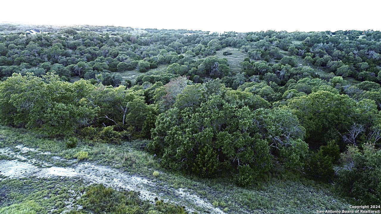 Lot 49 Twisted Oak Blanco TX 78606