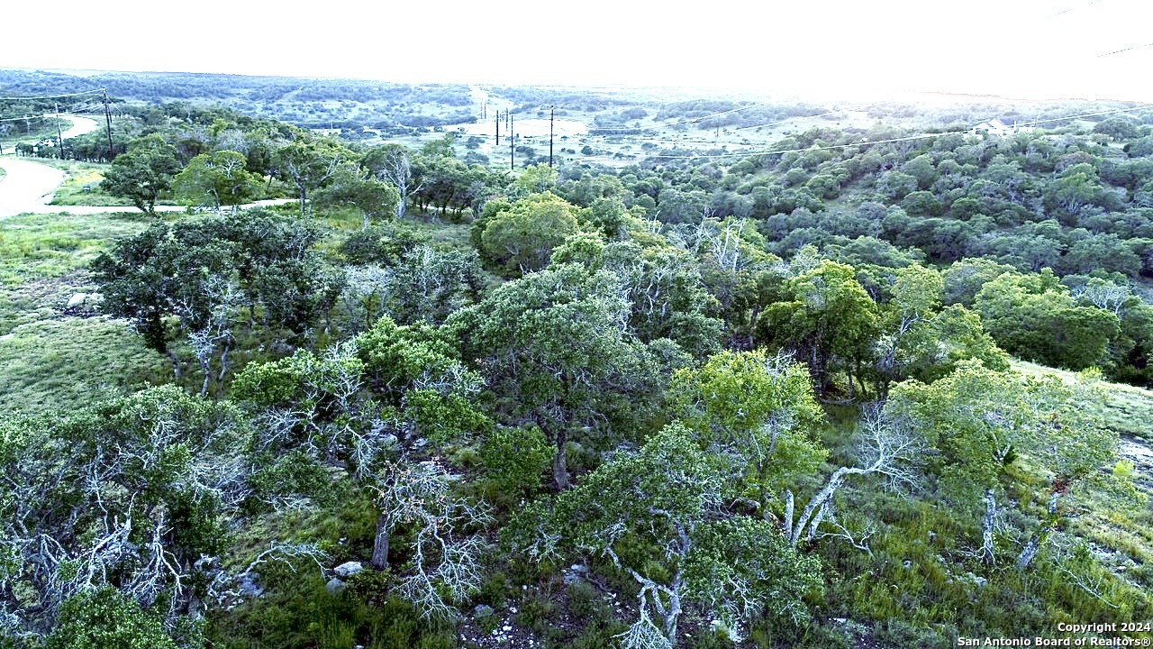 Lot 49 Twisted Oak Blanco TX 78606