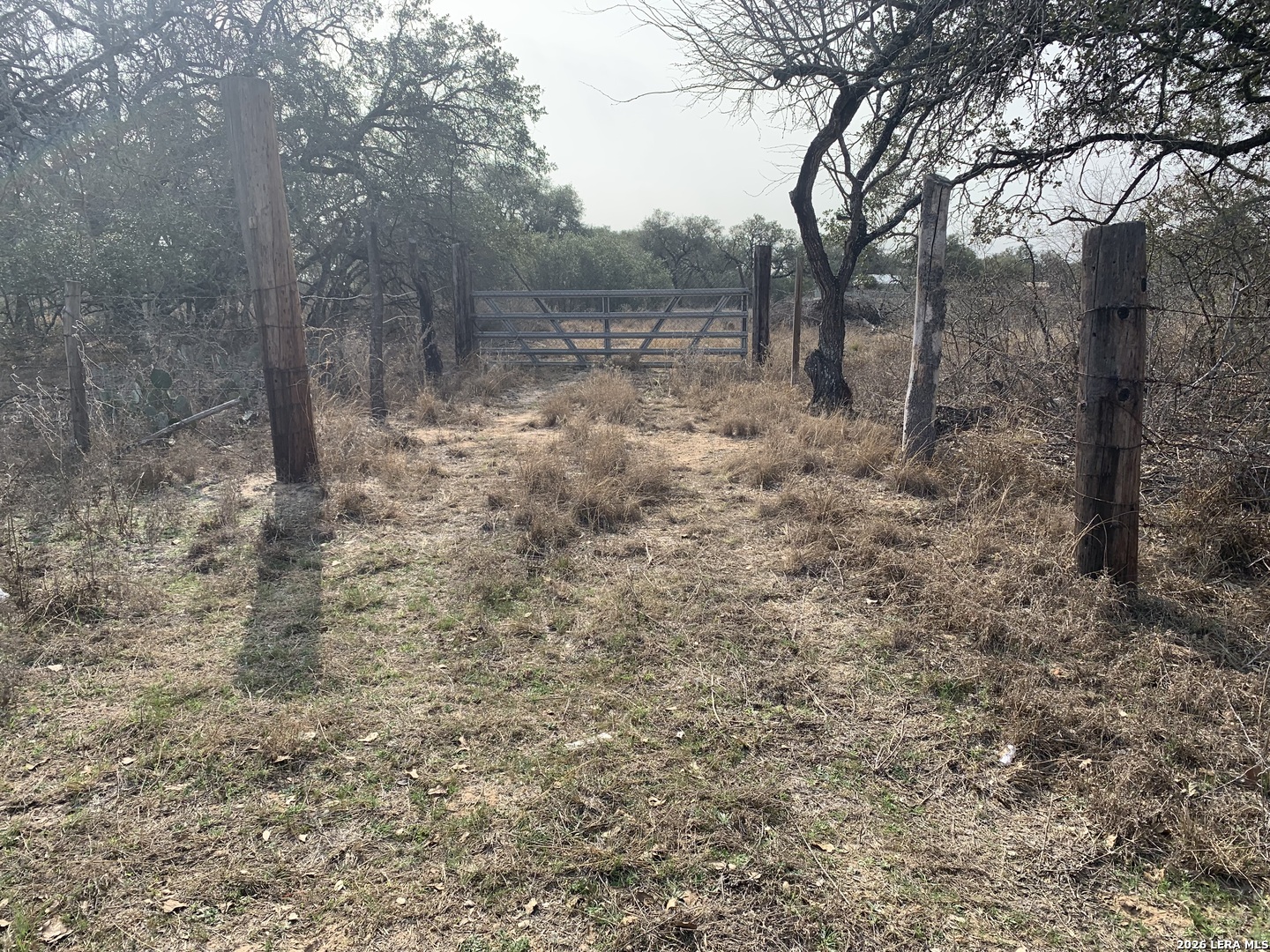 264 Cr 6719 Natalia TX 78059
