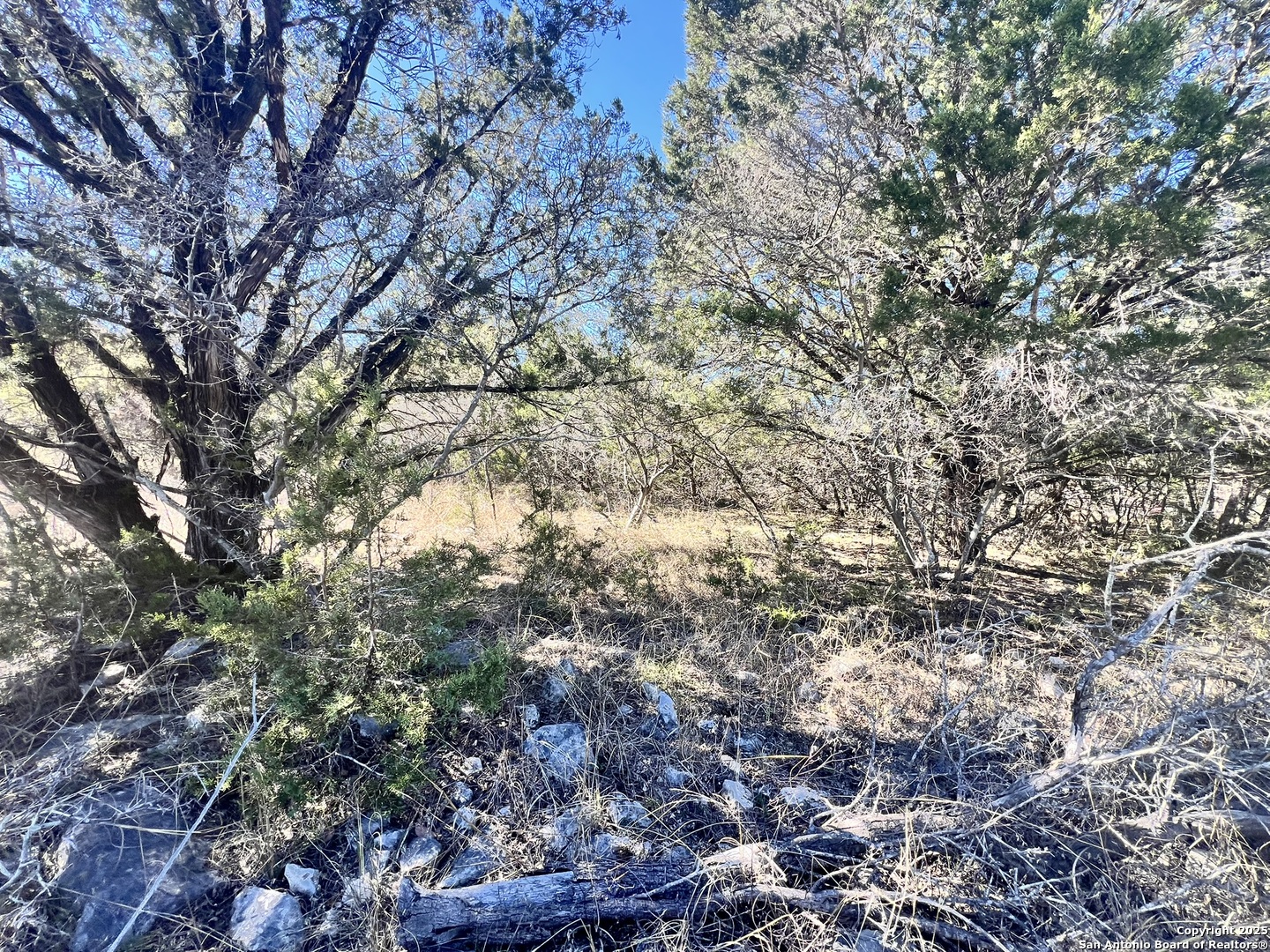 422 Eider Cove Spring Branch TX 78070